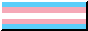 transgender flag button